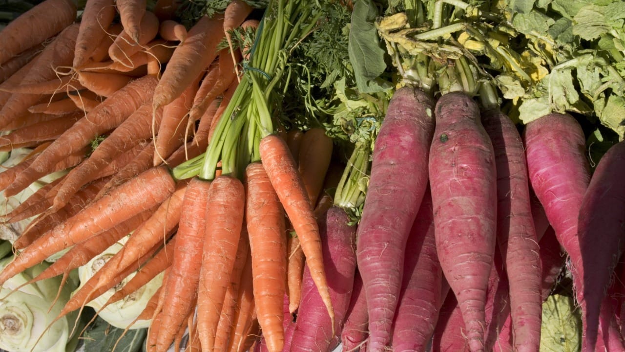 आपण बाजारात गेल्यावर तिथे आपल्याला लाल आणि भगवा (केशरी) अशा दोन्ही रंगांची गाजरे पाहायला मिळतात. ही दोन्ही गाजरे दिसायला सारखीच असली, तरी त्यांच्या चवीमध्ये, पौष्टिकतेमध्ये आणि वापरामध्ये मोठा फरक असतो.