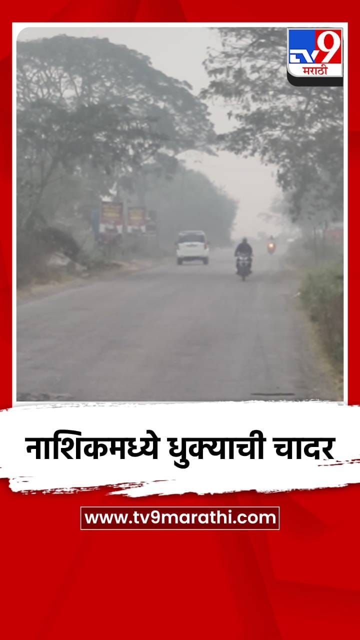 नाशिकमध्ये धुक्याची चादर