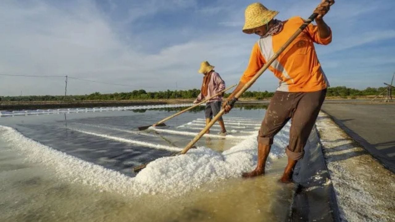 सरासरी प्रमाण: एका लिटर समुद्राच्या पाण्यापासून साधारणपणे 35  ग्रॅम मीठ तयार होते. जर आपण संपूर्ण महासागराचा विचार केला, तर त्यातील एकूण मिठाचे प्रमाण इतके आहे की त्याने संपूर्ण पृथ्वीवर 500 फूट जाडीचा थर तयार होऊ शकतो.