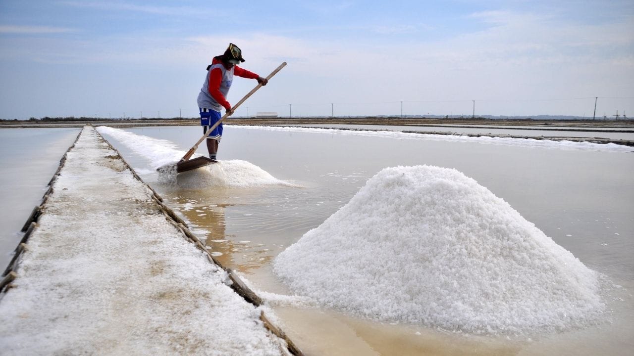 क्षेत्रानुसार फरक : सर्वच समुद्रात मिठाचे प्रमाण सारखे नसते. उदाहरणार्थ, मृत समुद्रामध्ये एका लिटर पाण्यात सुमारे 300 ते 340 ग्रॅम मीठ असते, जे सामान्य समुद्रापेक्षा 10 पटीने जास्त आहे.