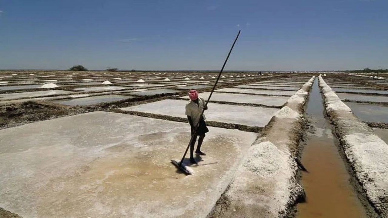 मिठातील घटक : समुद्राच्या पाण्यात केवळ खाण्याचे मीठ नसते. त्यात मॅग्नेशियम, कॅल्शियम आणि पोटॅशियमचे क्षारही असतात. शुद्धीकरणाच्या प्रक्रियेत यातील अनावश्यक क्षार काढून टाकले जातात.