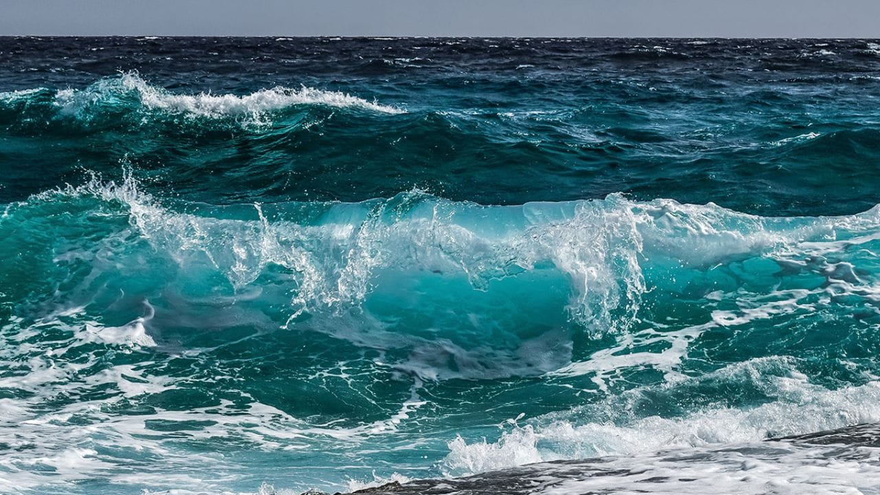 शांत आणि संथ पाणी : महासागराच्या मध्यभागी असूनही, या समुद्रातील पाणी आश्चर्यकारकपणे शांत आणि स्थिर असते. या भागात वाऱ्याचा वेग खूप कमी असतो, त्यामुळे पूर्वीच्या काळी शिडांची जहाजे या भागात अडकून पडत असत.