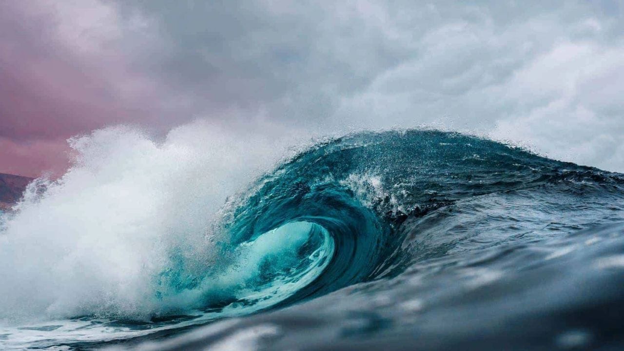 सारगासो समुद्र : हा समुद्र उत्तर अटलांटिक महासागराच्या मध्यभागी स्थित आहे. जगातील इतर सर्व समुद्रांना किमान एका बाजूने तरी जमिनीची किंवा देशाची सीमा असते, परंतु हा समुद्र चारही बाजूंनी पाण्यानेच वेढलेला आहे.