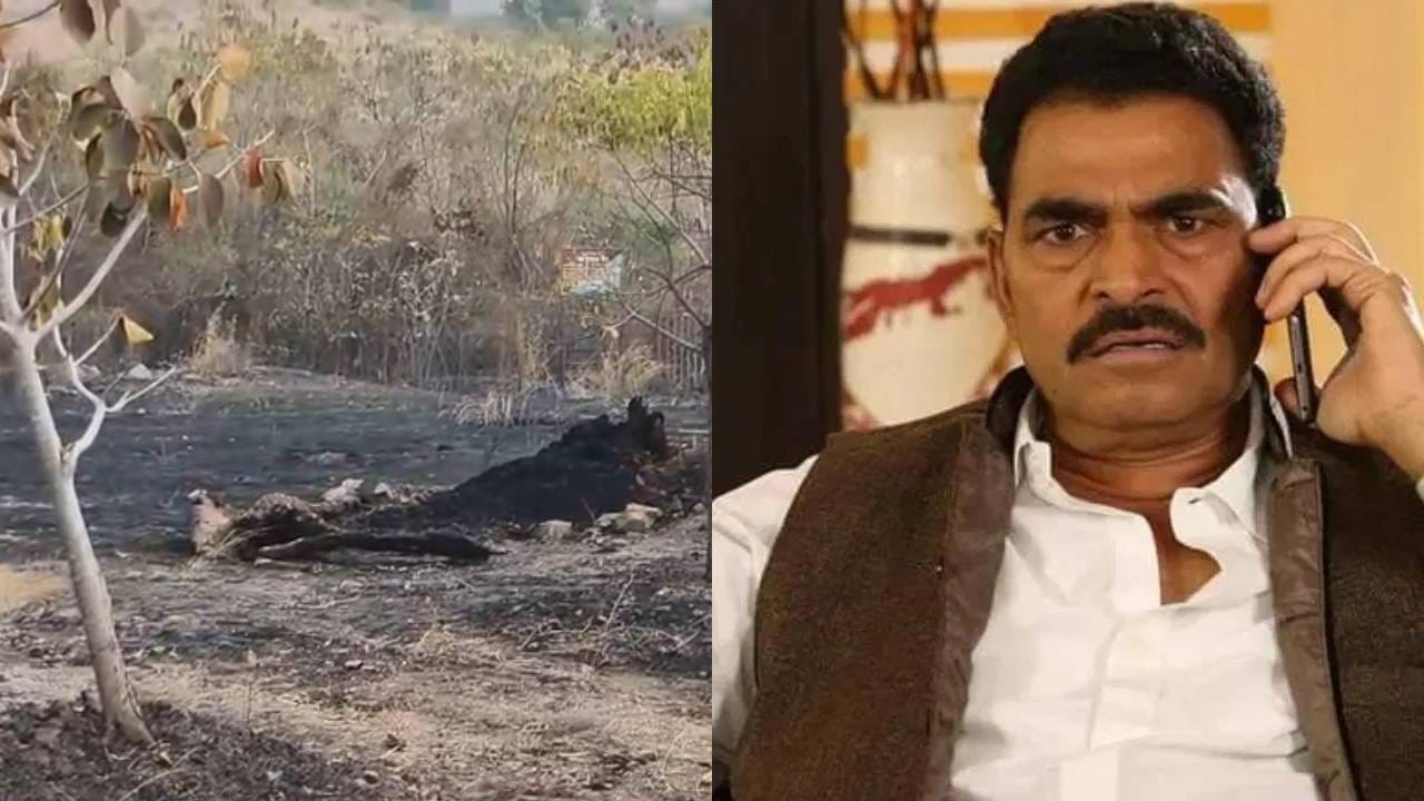 काही दिवसांपूर्वीच छोटी झाडे लावण्यात आली होती. ती झाले आगित खाक झाली आहे. तर काही मोठ्या झाडांना आगीची चांगलीच झळ लागल्याचे दिसत आहे. काही तासातच सह्याद्री देवराई जळून खाक झाली आहे.