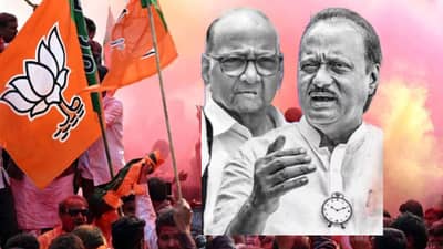 Sharad Pawar-Ajit Pawar: शरद पवार आणि अजित पवार एकत्र येऊनही काहीच करू शकले नाही, पवार कुटुंबाचं भविष्य काय असेल?