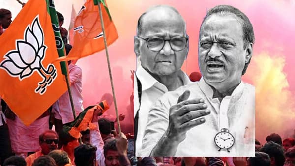 Sharad Pawar-Ajit Pawar: शरद पवार आणि अजित पवार एकत्र येऊनही काहीच करू शकले नाही, पवार कुटुंबाचं भविष्य काय असेल?