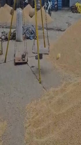 तीन वर्षात प्रथमच सोयाबीनचे दर पोचले पाच हजारावर.