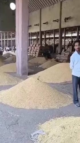 वाशिम कृषी उत्पन्न बाजार समितीमध्ये सोयाबीनच्या दरात तेजी.