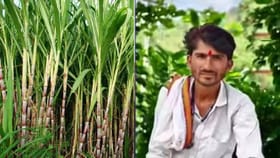 ऊसाची ट्रॉली धाडधाड रिल्सस्टारच्या अंगावर, नवऱ्याचा मृत्यू, ती वाचली!.