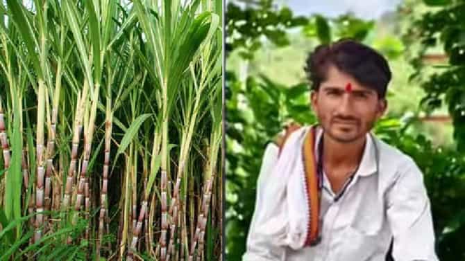 आख्खी ऊसाची ट्रॉली धाडधाड रिल्सस्टारच्या अंगावर, नवऱ्याचा मृत्यू, ती मात्र वाचली! न्यायासाठी आंदोलन
