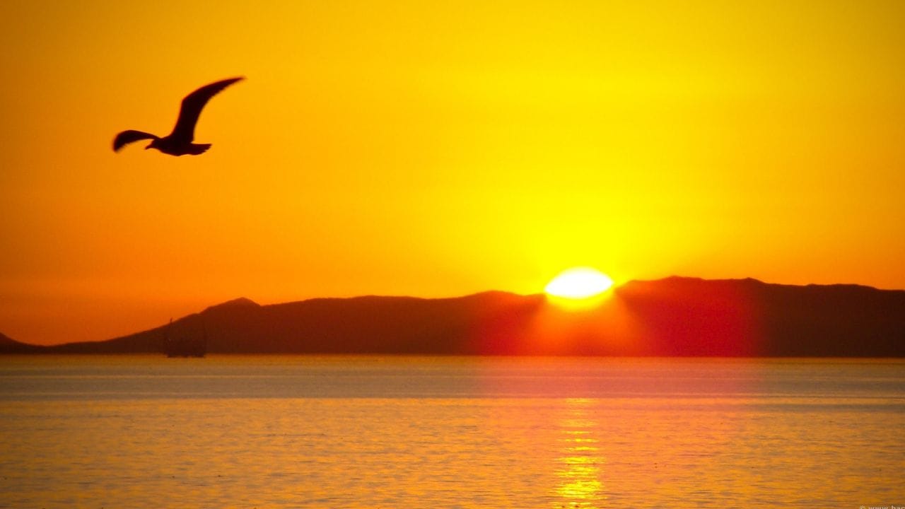 वेळेचा फरक (UTC +14): किरिबातीमध्ये जगातील सर्वात प्रगत वेळ क्षेत्र आहे (UTC+14). जेव्हा लंडनमध्ये (GMT) दुपारचे 12 वाजलेले असतात, तेव्हा किरिबातीमध्ये पुढच्या दिवसाचे पहाटेचे 2 वाजलेले असतात.