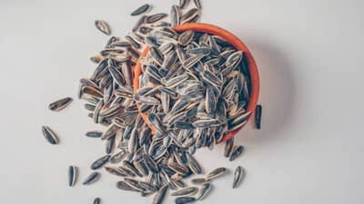 सूर्यफूलाच्या बिया त्वचेसाठी कसे फायदेशीर ठरतात?