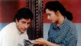 अभिनेत्री 7 महिन्यांची प्रग्नेंट असतानाच विमान अपघातात निधन,भयंकर घटना.