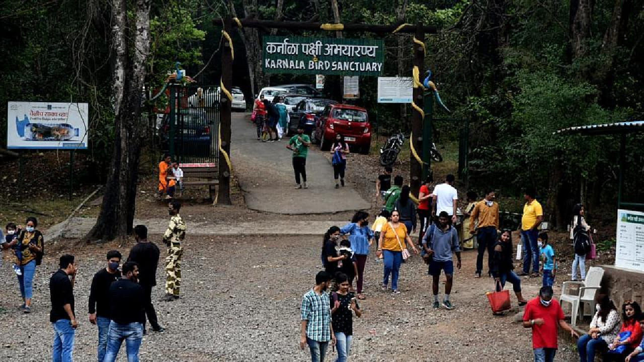 पनवेलजवळच असलेले कर्नाळा पक्षी अभयारण्य हे निसर्गप्रेमी आणि पक्षीनिरीक्षकांसाठी खास ठिकाण आहे. येथे विविध प्रजातींचे पक्षी, वन्यजीव आणि घनदाट जंगल पाहायला मिळते. हिरवळ, डोंगर आणि शांतता यामुळे हे ठिकाण शहराच्या गोंगाटापासून दूर नेणारे ठरते.