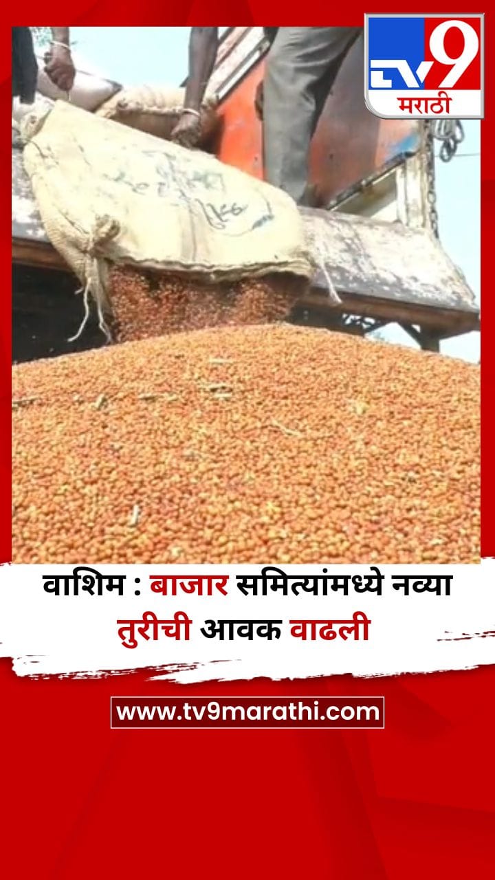 वाशिम : बाजार समित्यांमध्ये नव्या तुरीची आवक वाढली