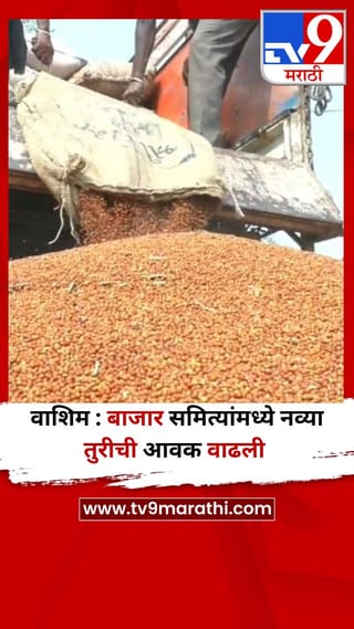वाशिम : बाजार समित्यांमध्ये नव्या तुरीची आवक वाढली