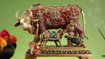 Vastu Shastra : हे 6 प्राणी असतात शुभ, झोपेतून उठताच दिसल्यास आयुष्यच बदलून जातं