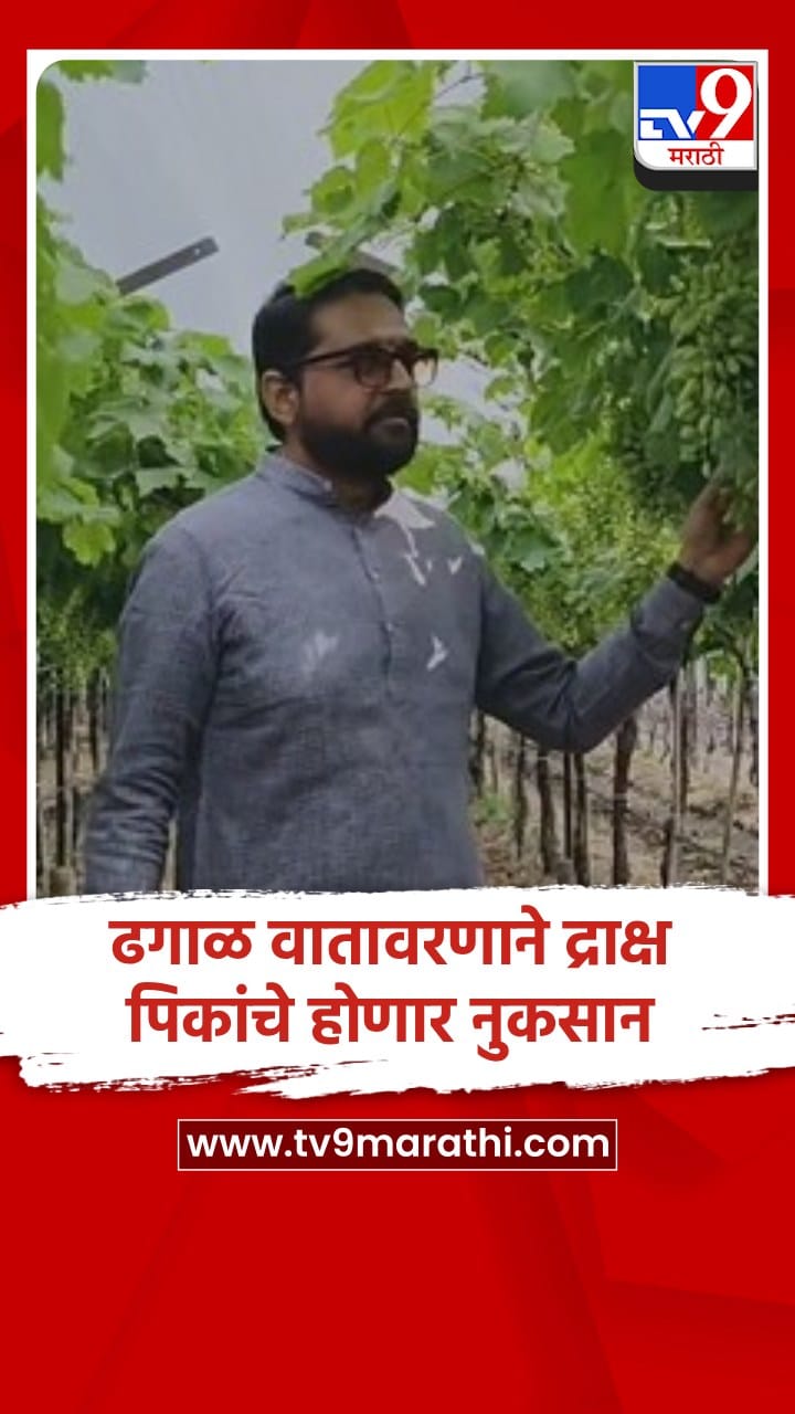 लासलगाव (नाशिक): वातावरणातील बदलामुळे द्राक्ष उत्पादक शेतकऱ्यांची डोकेदुखी वाढली