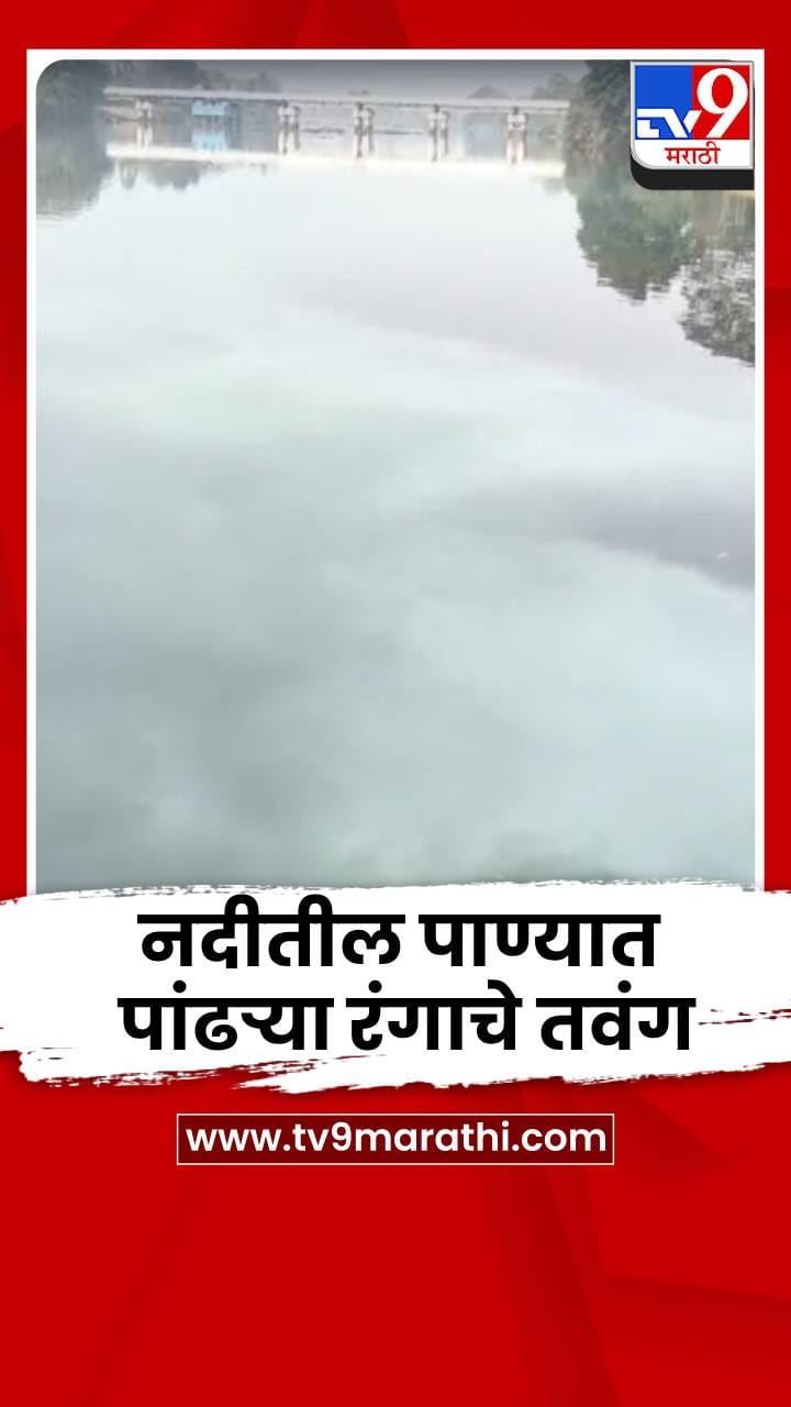 चिपळूणच्या वाशिष्टी नदीतील पाण्यात पांढऱ्या रंगाचे तवंग; नागरिकांमध्ये चिंतेचं वातावरण