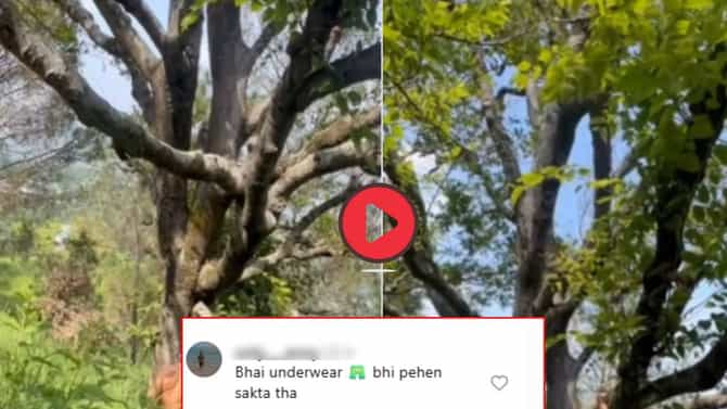 Video: भाई अंतरवर्स्त्र घालू शकत होतास; विना कपडे झाडावर चढताच अभिनेता झाला चांगलाच ट्रोल