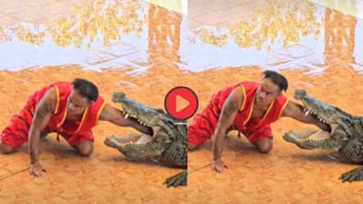 Video Viral: भावाने मगरीच्या तोंडात घातला हात, नंतर घडलं असं काही की... व्हिडीओ पाहून हादरून जाल!