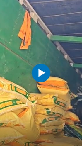 वाशिममध्ये युरियाचा कृत्रिम तुटवडा; शेतकरी संतप्त, रब्बी पिके धोक्यात.