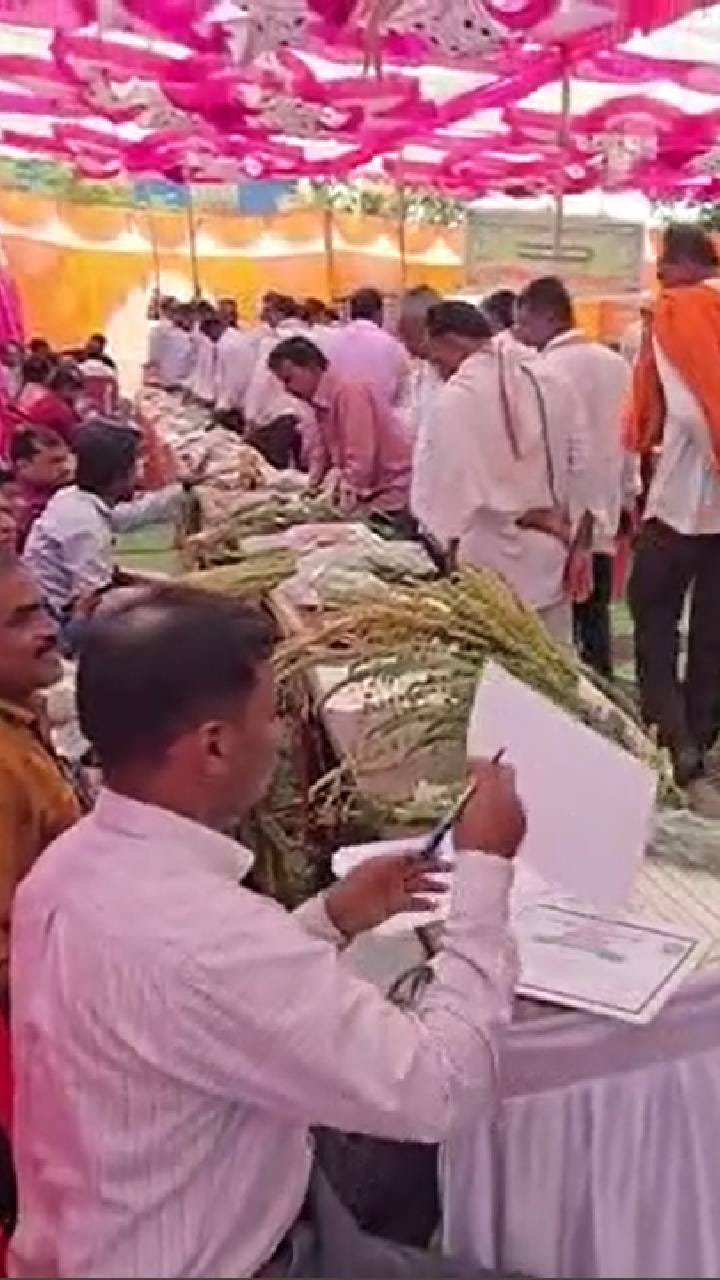 वाशीम जिल्ह्यातील डव्हा यात्रेला मोठ्या उत्साहात प्रारंभ