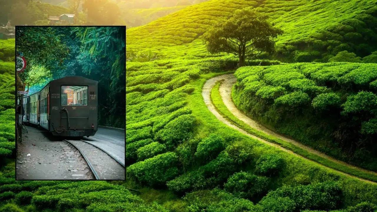 पश्चिम बंगालची राजधानी कोलकत्ता आहे. इंग्रजांनी वखार टाकल्यानंतर इथूनच देशाचा कारभार हाकला. हायकोर्टच नाही तर सुप्रीम कोर्टाची सुरुवातही पश्चिम बंगालमधून झाली.  1772 ते 1911 या काळात हे शहर इंग्रजांची राजधानी होते. त्यापूर्वी अनेक राज्यांनी या प्रदेशावर राज्य केले आहे. या राज्यातून धार्मिक चळवळींनी देशभरात हातपाय पसरले.