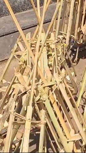 येवल्यात पतंगोत्सवाच्या तयारीला वेग; आसारी बनवण्याची लगबग.