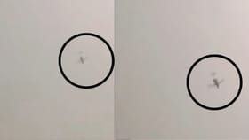 अजित पवारांच्या विमान दुर्घटनेच्या वेळीचा आणखी एक व्हिडीओ समोर.