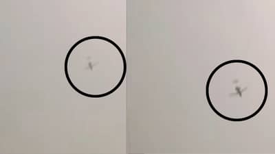 Ajit Pawar Death in Plane Crash : अजित पवारांच्या विमान दुर्घटनेच्या वेळीचा आणखी एक व्हिडीओ समोर