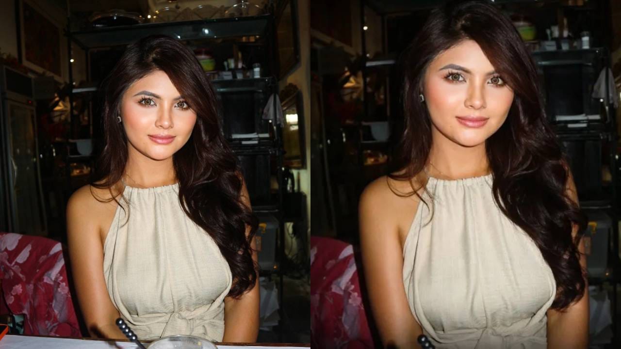 खरे तर, एमी नूर टिनीने २५ डिसेंबरला एका पॉडकास्टमध्ये याबाबत सांगितले होते. तिने सांगितले की, तो व्यक्ती मलेशियातील एक अतिशय मोठा आणि प्रभावशाली माणूस होता. त्याला VVIP म्हणतात. एमीच्या म्हणण्यानुसार, लग्नासाठी त्या व्यक्तीने मोठे घर, कार, १० एकर जमीन आणि दरमहा ११ लाख रुपये देण्याचे वचन दिले होते.