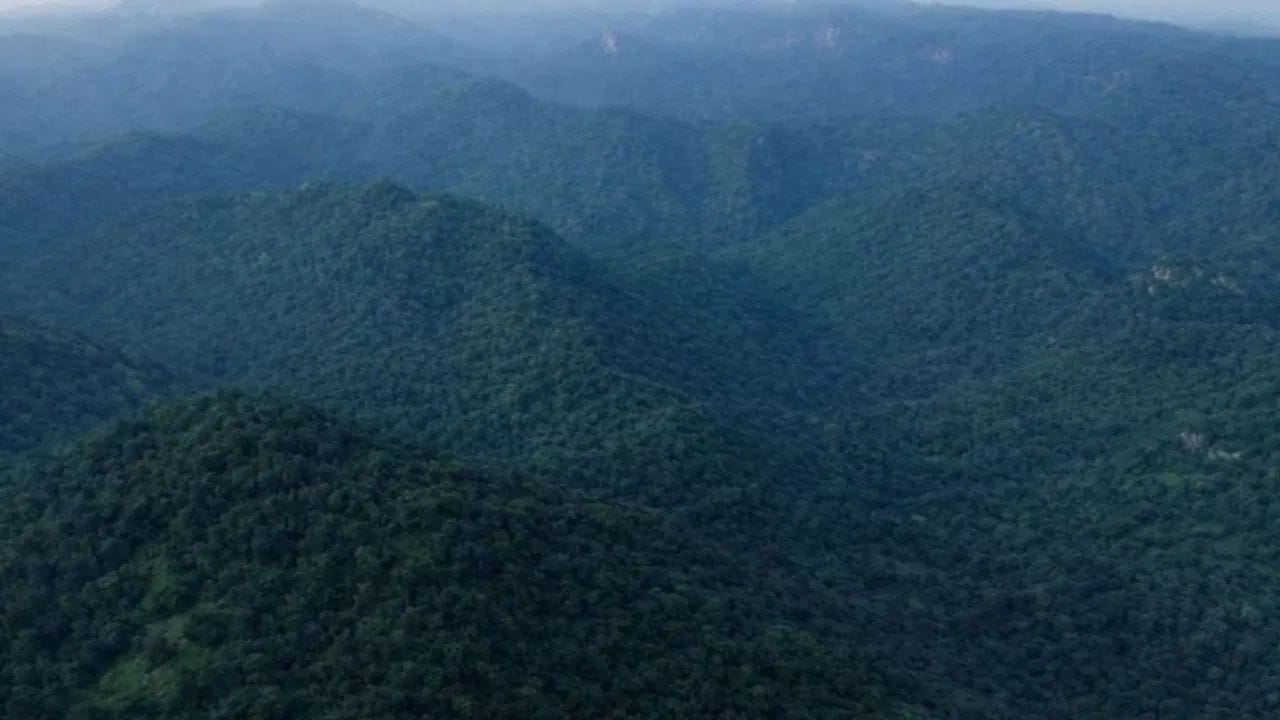 5 - अरुणाचल प्रदेशात काही संरक्षित वनक्षेत्रात पर्यटकांना प्रवेश प्रतिबंधीत आहे. या भागात आदिवासी गट आणि विलुप्तप्राय प्रजाती, सारखे दुर्लभ ऑर्कीड आणि वन्यजीवांचे संरक्षण करायचे आहे.पर्यावरण आणि आदिवासींच्या जीवनशैलीवर काही प्रभाव पडू नये यासाठी  येथे जाण्यासाठी स्थानिय प्रशासनाकडून पूर्व परवानगी घ्यावी लागते.