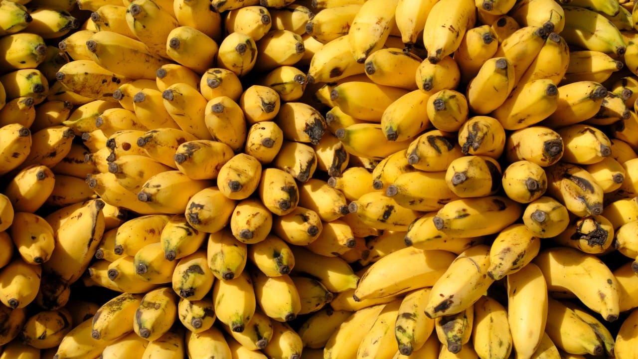 जिमला जाण्यापूर्वी किंवा व्यायाम करण्यापूर्वी १-२ केळी खाणे सर्वोत्तम मानले जाते. केळीमधील कार्बोहायड्रेट्स वर्कआउटसाठी आवश्यक ऊर्जा पुरवतात. तसेच पोटॅशियम स्नायूंमधील क्रॅम्प्स (cramps) येण्यापासून रोखते. तसेच स्नायू मजबूत करते.