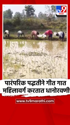 भंडाऱ्याच्या साकोली तालुक्यातील सुकळी परिसरात उन्हाळी धान रोवणीला सुरुवात..