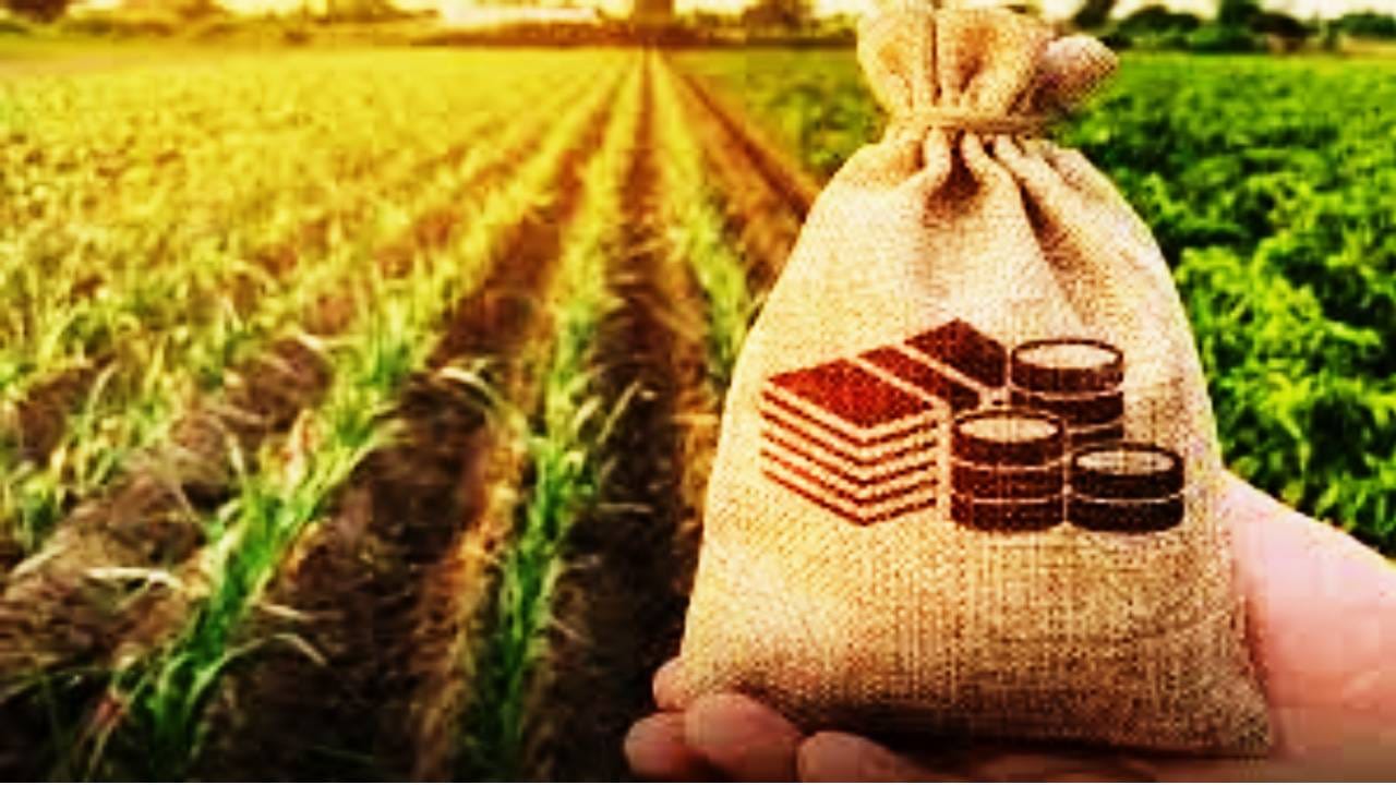 Crop Loan: पीक कर्जावर सरकारची मोठी सूट! 2 लाखांपर्यंतच्या पीक कर्जावरील मुद्रांक शुल्क माफ, लाखो शेतकर्यांना नवीन वर्षाची मोठी भेट Crop Loan: पीक कर्जावर सरकारची मोठी सूट! 2 लाखांपर्यंतच्या पीक कर्जावरील मुद्रांक शुल्क माफ, लाखो शेतकर्यांना नवीन वर्षाची मोठी भेट