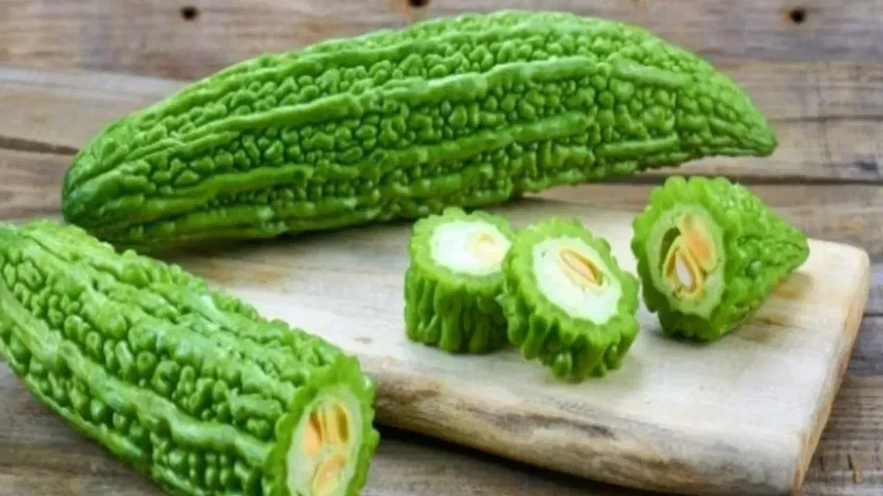 खरेदीचे ठिकाण - 'पॅटेल ब्रदर्स' किंवा 'एच-मार्ट' सारख्या आशियाई स्टोअर्समध्ये कारली तुलनेने स्वस्त मिळतात. मात्र, जर तुम्ही 'होल फूड्स' सारख्या प्रीमियम किंवा सेंद्रिय स्टोअर्समध्ये गेलात, तर ही किंमत $10 प्रति किलोच्या वरही जाऊ शकते.