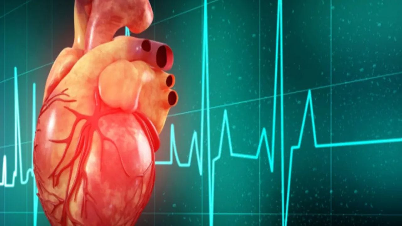 ६ - हृदयविकाराचा मोठा आजार होईपर्यंत या ४  धोक्यांची लक्षणे शरीरात दिसून येत नाहीत. घटकांमुळे लक्षणे दिसून येत नाहीत, म्हणूनच आरोग्याची नियमित तपासणी करणे आवश्यक आहे.