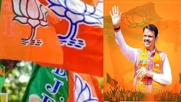 Maharashtra Election Results 2026 : मतांच्या यादीतही भाजप नंबर 1, मुंबईत ठाकरेंना किती मतं? विजयी उमेदवाराची संख्या एका क्लिकवर
