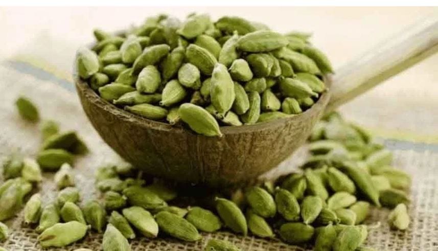  इलायचीदेखील तुमच्यावर कोणाची वाईट नजर पडू देत नाही. तुमच्या खिशात इलायची ठेवल्यास तुमचे रक्षण होते. यामुळे तुमच्या भोवताली सकारात्मक उर्जा निर्माण होते. वेळोवेळी ही इलायची बदलत राहावी. यामुळे तुमच्या अवतीभोवती सुगंधी वातावरण राहते. तसेच निगेटिव्हिटीदेखील दूर होते. 