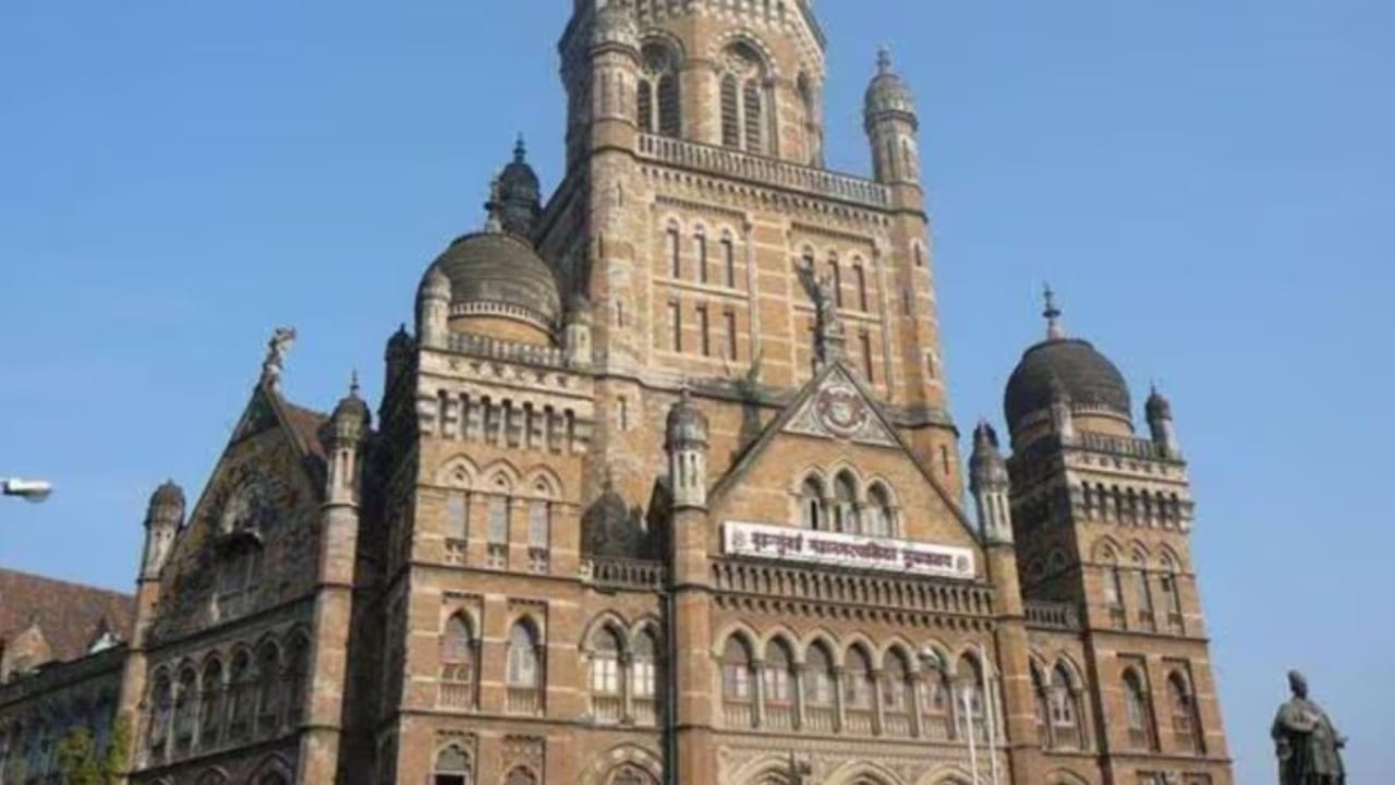 BMC Election Results 2026 LIVE : B वॉर्डात कोणाचे वर्चस्व? काँग्रेसचा गड राहणार की शिवसेना-भाजप बाजी मारणार? BMC Election Results 2026 LIVE : B वॉर्डात कोणाचे वर्चस्व? काँग्रेसचा गड राहणार की शिवसेना-भाजप बाजी मारणार?