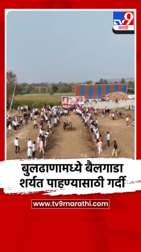 नाद एकच, बैलगाडा शर्यत, बुलढाणामध्ये प्रेक्षकांची प्रचंड गर्दी.