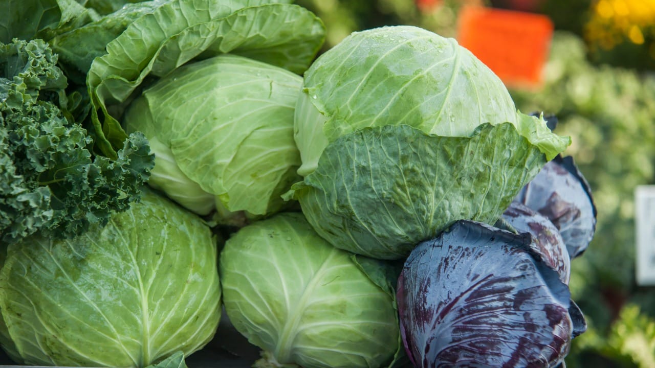 कोबी ही भाजी आपल्या आहारात सर्रास वापरली जाते. कोबीमध्ये व्हिटॅमिन सी, के आणि फायबर भरपूर प्रमाणात असतात. मात्र, काही विशिष्ट लोकांनी कोबी खाणे टाळावे, असा सल्ला दिला जातो. यामुळे कोणत्या लोकांनी कोबी खाणे टाळावे किंवा मर्यादित ठेवावे, याची माहिती जाणून घेऊया.