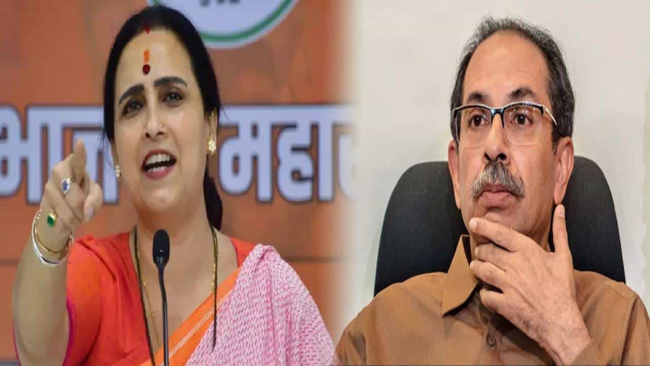 Chitra Wagh : ज्याची लाज वाटायला हवी त्यावर माज अन् नुसत्या ... चित्रा वाघ यांची उद्धव ठाकरेंवर जहरी टीका