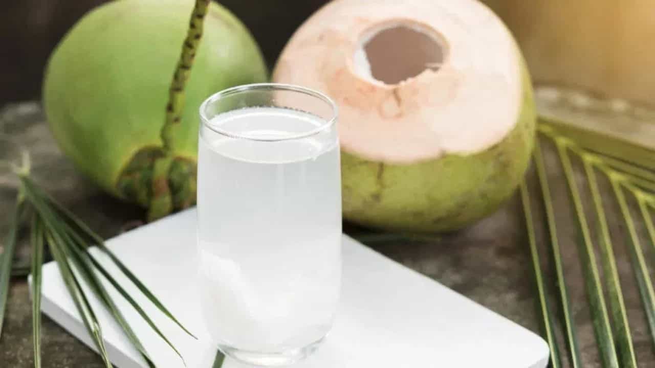 नारळ पाणी पिण्याची योग्य वेळ कोणती? आरोग्यास मिळतील अनेक फायदे