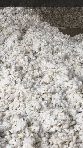 खान्देशात भाव ७४०० पार, कापूस उत्पादकांना दिलासा