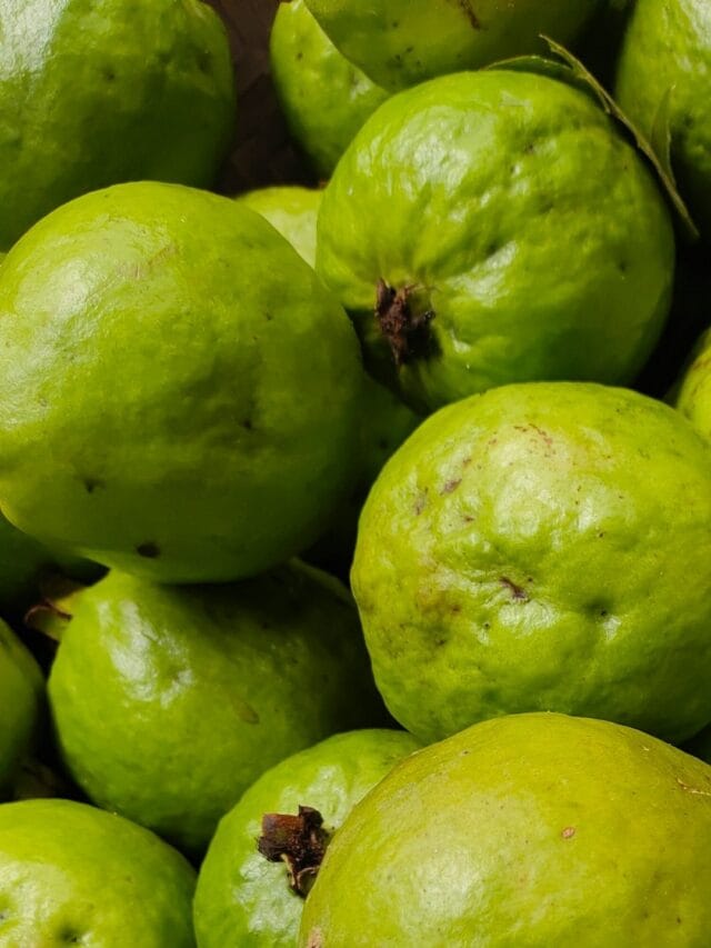 पेरु खाण्याचे आरोग्यदायी फायदे काय ?