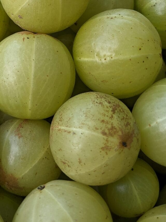 या लोकांनी आवळा जरुर खावा, होईल मोठा फायदा