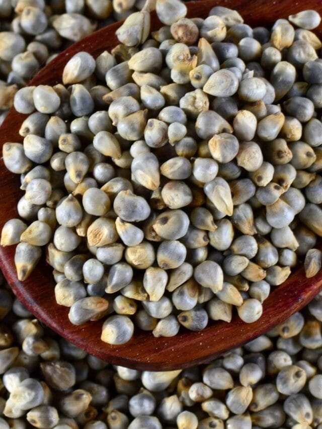 हिवाळ्यात बाजरीचे हे पाच पदार्थ नक्की खा!