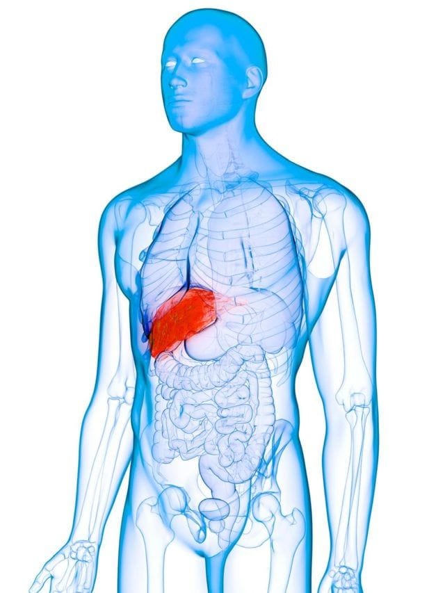 लिव्हर खराब होण्याचे सुरुवातीचे संकेत काय ?
